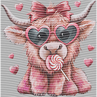 Valentine's Day-QRJ  5317